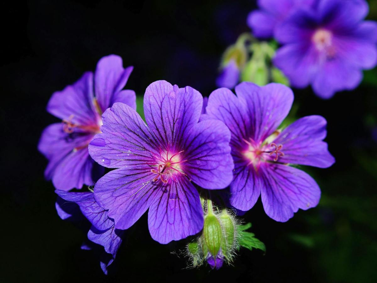 “It is a truth universally acknowledged, that a single man in possession of a great fortune, must be in want of a&nbsp;wife.”